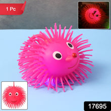 Puffer Ball Toy